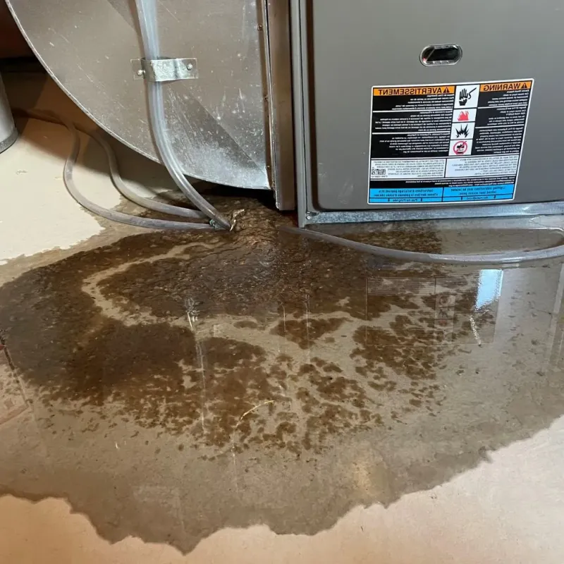 Pipe Burst and Leak Restoration in Hampshire County, MA